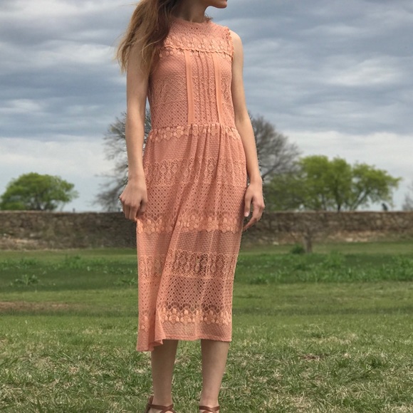 Dresses & Skirts - Target brand Lace midi dress